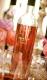 Andy Spade's New Wine Business